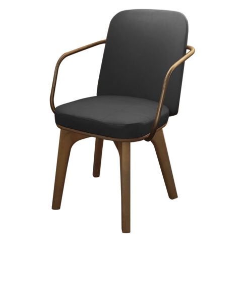 Modern armchair with armrest